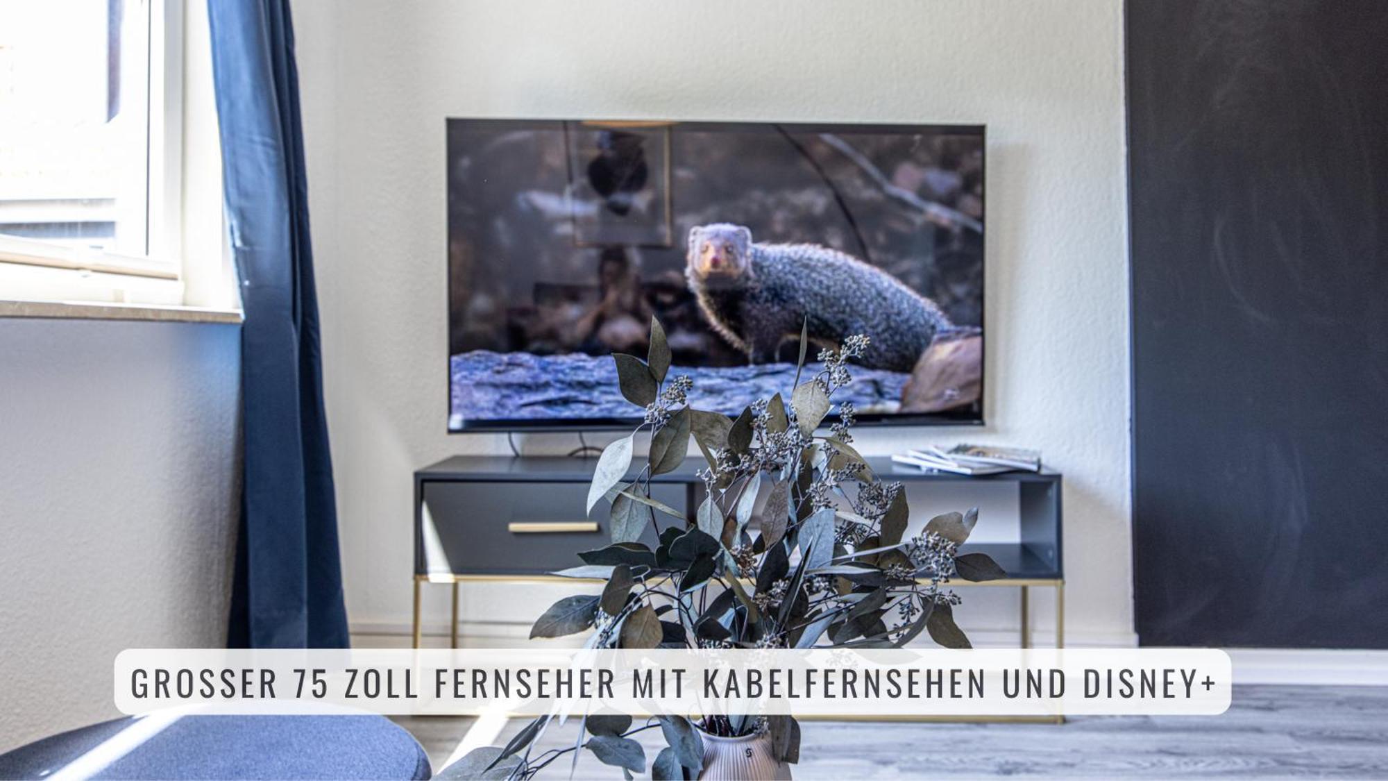 Have-A-Nice-Stay - Nahe Der U-Bahn Nach Hamburg - Natur 1 Minute Entfernt - Baecker & Restaurants 500M - Lidl 800M - Zentrum 1,5Km Ahrensburg Εξωτερικό φωτογραφία